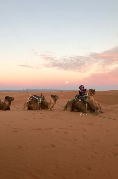 Los camellos son parte del tour de 2 días desde Ouarzazate a Fez